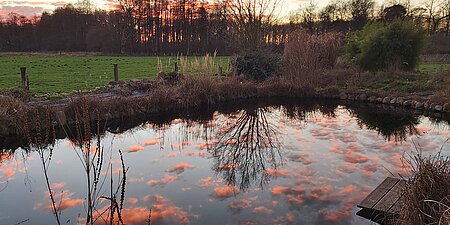 20191230_162143.jpg